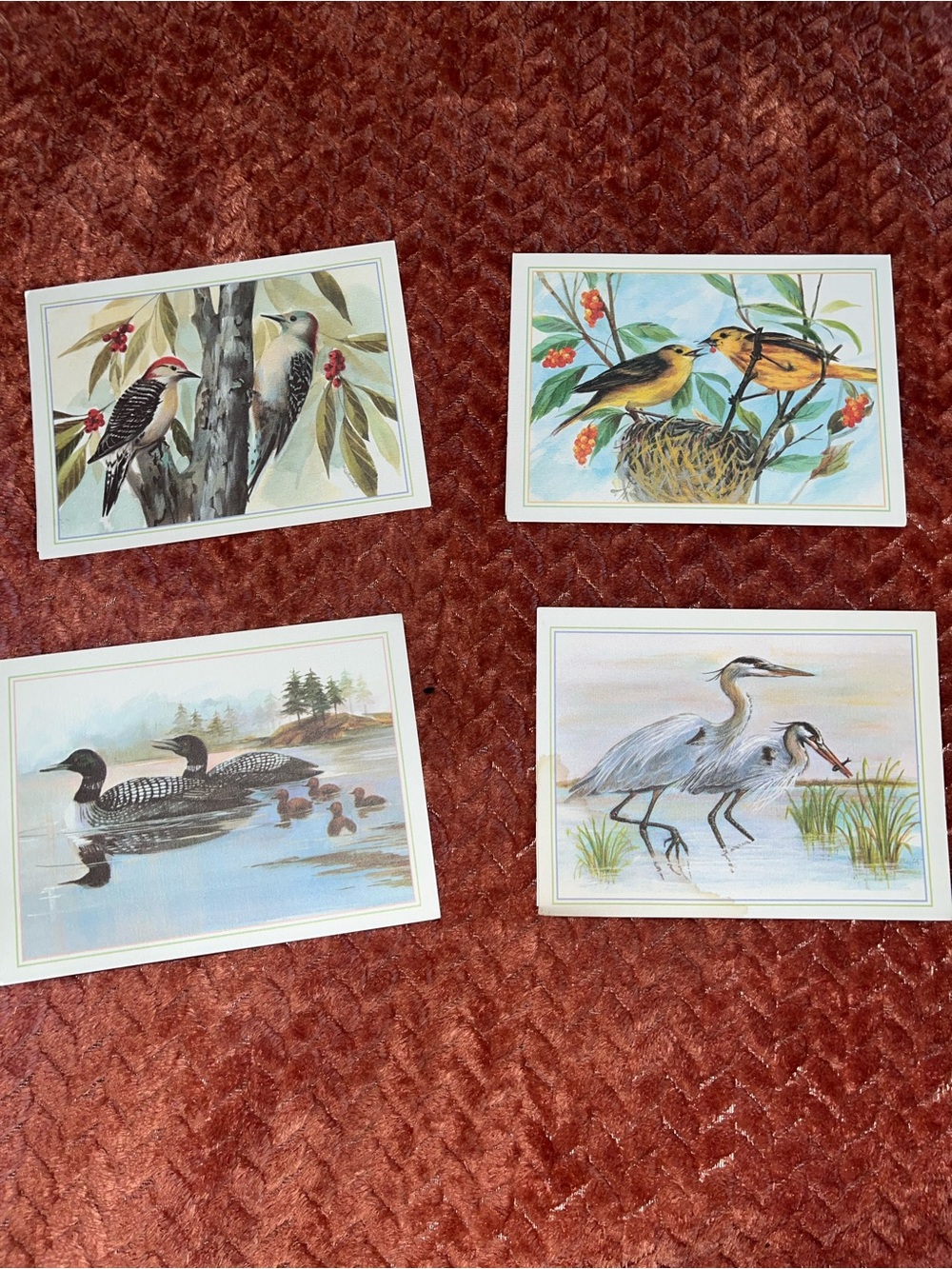 Vintage Mary Beth LoPiccolo bird cards. 1994.